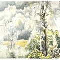 BURCHFIELD CHARLES EPHRAIM FOREST CICADA 1950 59 PAPER GOUACHE PENCIL AND MEL TH BO