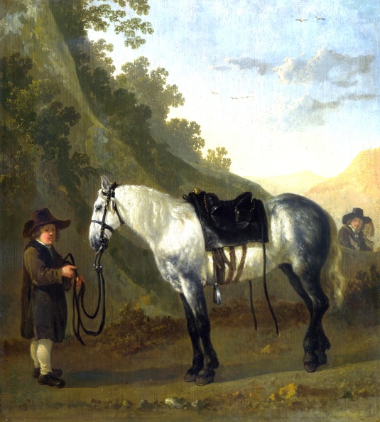 CALRAET ABRAHAM VAN BOY HOLDING GREY HORSE LO NG