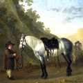 CALRAET ABRAHAM VAN BOY HOLDING GREY HORSE LO NG