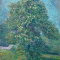 GOGH VINCENT VAN CHESTNUT TREE IN BLOSSOM 1887 VA GO