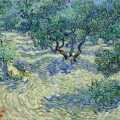 GOGH VINCENT VAN OLIVE TREES 1889
