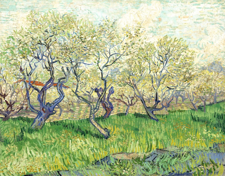 GOGH VINCENT VAN ORCHARD IN BLOSSOM 1889