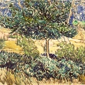 GOGH VINCENT VAN TREES AND SHRUBS IN ASYLUM GARDEN 1889