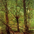 GOGH VINCENT VAN TREES AND UNDERGROWTH1 1886 88