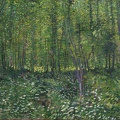 GOGH VINCENT VAN TREES AND UNDERGROWTH GOOGLE