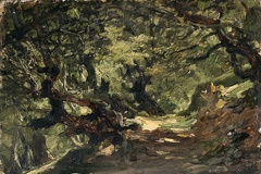 HAES CARLOS FOREST IN ALSASUA 1875 PRADO