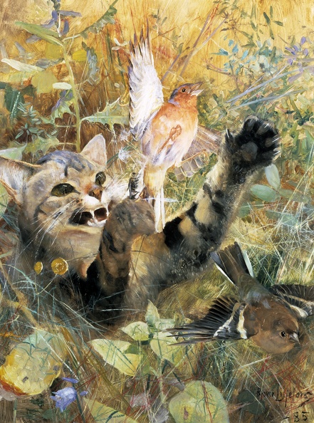 LILJEFORS BRUNO CAT AND CHAFFINCH FIVE ANIMAL STUDIES IN ONE FRAME STOCK