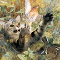 LILJEFORS BRUNO CAT AND CHAFFINCH FIVE ANIMAL STUDIES IN ONE FRAME STOCK