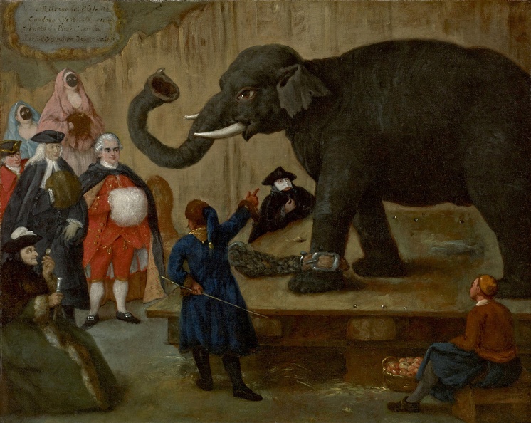 LONGHI PIETRO DISPLAY OF ELEPHANT HOUSTON