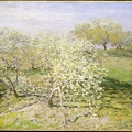 MONET CLAUDE SPRING FRUIT TREES IN BLOOM 1873