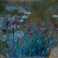 MONET CLAUDE IRISES AND WATER LILIES 1914 1917