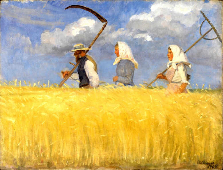 ANCHER ANNA HARVESTERS GOOGLE