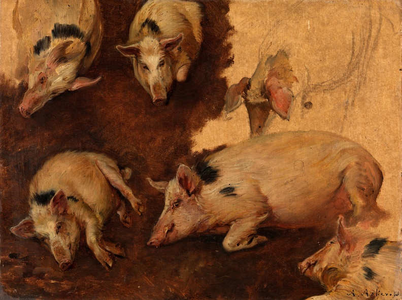 ASKEVOLD ANDERS STUDY OF SIX PIGS GOOGLE
