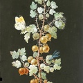 BARBARA DIETZSCH BRANCH OF GOOSEBERRIES WITH DRAGONFLY ORANGE TIP BUTTERFLY AND CATERPILLAR 1725 1783 NGA 140129