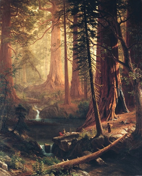 BIERSTADT ALBERT GIANT REDWOOD TREES OF CALIFORNIA GOOGLE BERKSHIRE