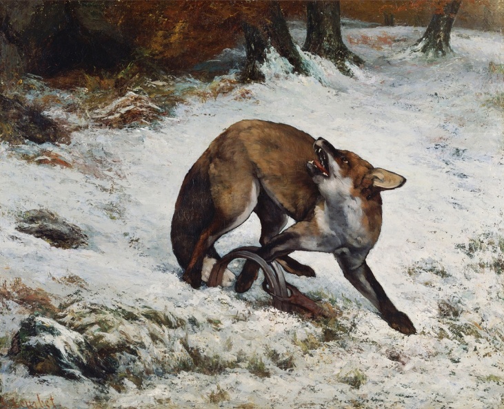 COURBET_GUSTAVE_FOX_CAUGHT_IN_TRAP.JPG