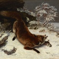 COURBET GUSTAVE FOX IN SNOW 1860