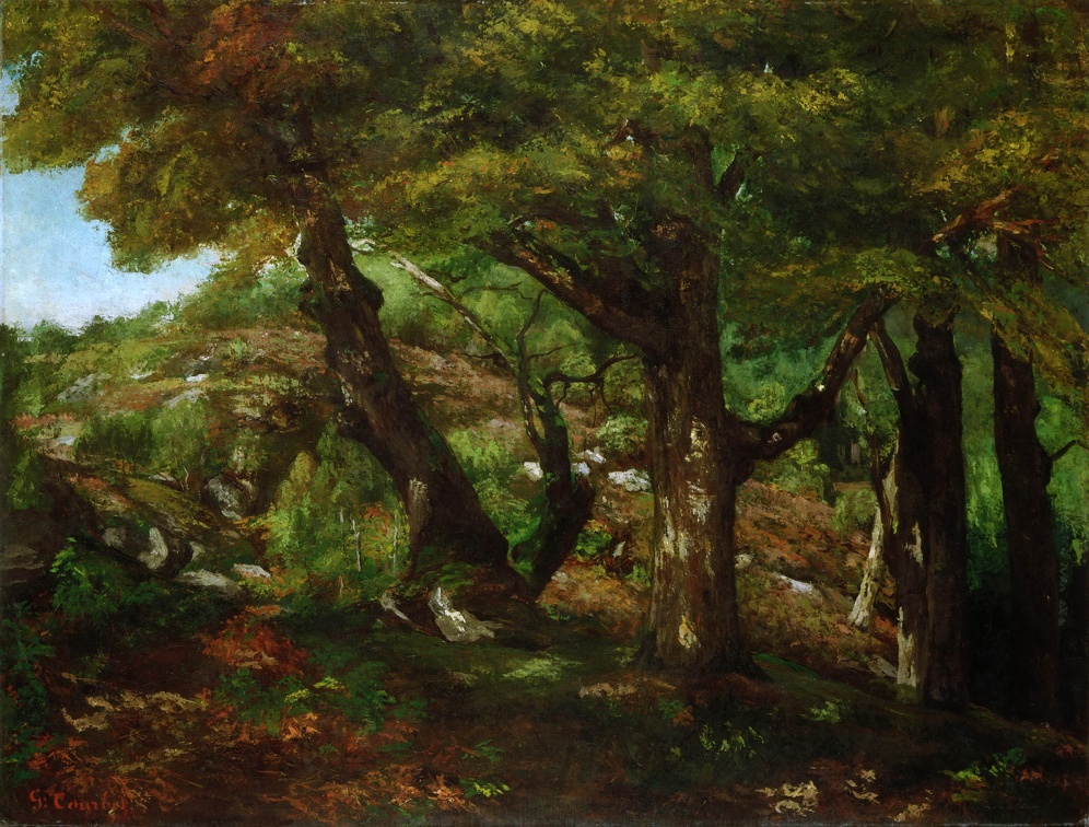 COURBET GUSTAVE FRINGE OF FOREST PHIL