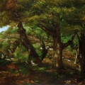 COURBET GUSTAVE FRINGE OF FOREST PHIL