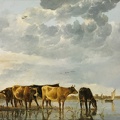 CUYP AELBERT COWS IN RIVER GOOGLE BUDAPEST