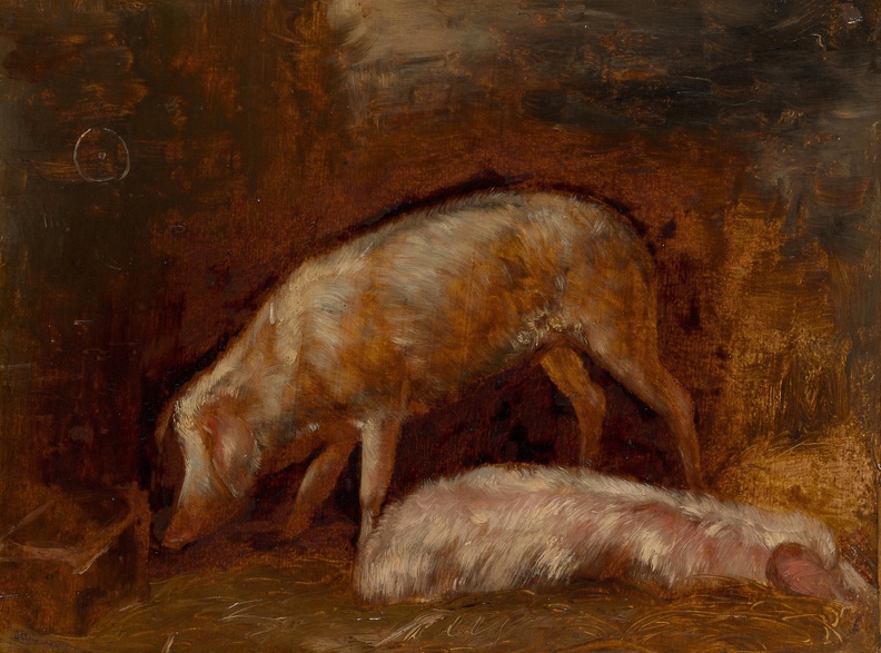 DECAMPS ALE ANDRE GABRIEL STUDY OF PIGS CHICA