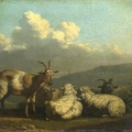 DUJARDIN KAREL SHEEP AND GOATS LO NG