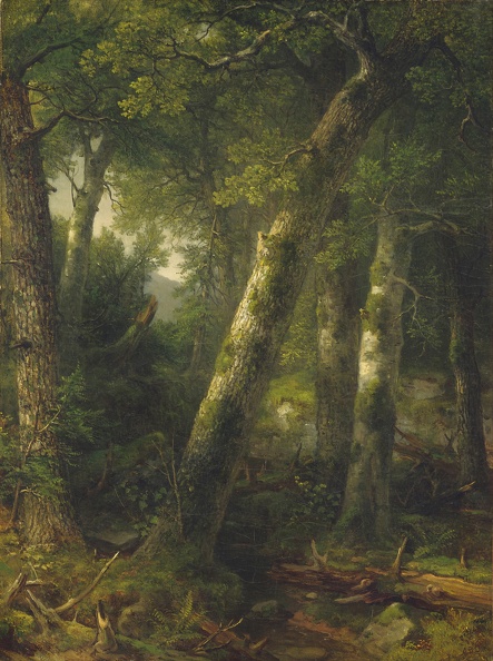 DURAND_ASHER_BROWN_FOREST_IN_MORNING_LIGHT_C1855_N_G_A.JPG