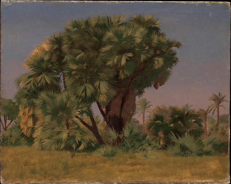 GEROME JEAN LEON STUDY OF PALM TREES MET