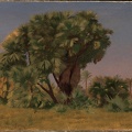 GEROME JEAN LEON STUDY OF PALM TREES MET