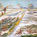 GOGH VINCENT VAN LANDSCAPE WITH SNOW PAYSAGE ENNEIGE 1888