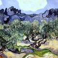 GOGH VINCENT VAN PAINTING OF OLIVE TREES 1889