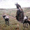 LIEBERMANN MAX WOMAN AND HER GOATS IN DUNES 1890