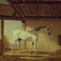 MARSHALL BENJAMIN EARL OF COVENTRYS HORSE CHICA