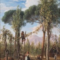 PALIZZI NICOLA GRAPE HARVEST AUTUMN 1847