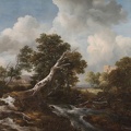 RUISDAEL JACOB VAN LOW WATERFALL IN WOODED LANDSCAPE DEAD BEECH TREE C1660 1670 CLEVE