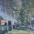 SISLEY ALFRED ALLEY OF POPLARS IN OUTSKIRTS OF MORET SUR LOING 1890 ORSAY