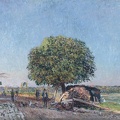 SISLEY ALFRED CHESTNUT TREE AT ST. MAMMES 1880 SOTHEBY