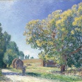 SISLEY ALFRED FOREST GLADE 1895 TH BO