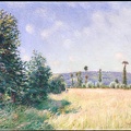 SISLEY ALFRED SAHURS MEADOWS IN MORNING SUN 1894 MET