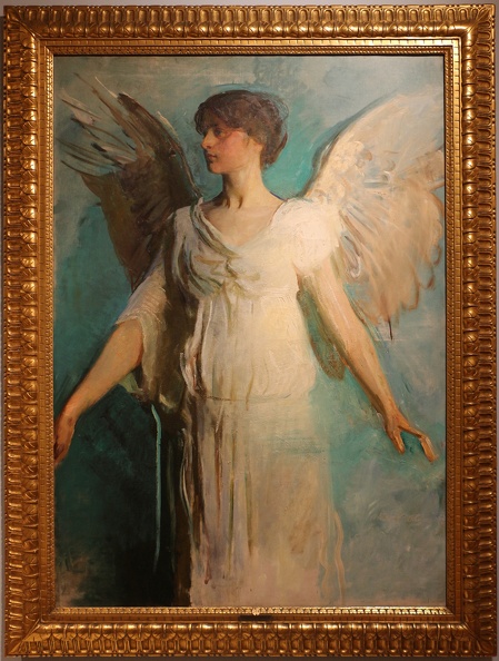 THAYER ABBOTT HANDERSON UN ANGELO 1893