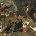 UTRECHT ADRIAEN VAN PEACOCK AND PEAHEN ON PERCH TURKEYS PHEASANT AND POULTRY BY WELL