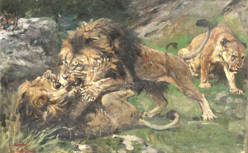 VASTAGH GEZA LIONS AT PLAY