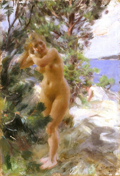 ZORN ANDERS NUDE AFTER BATH NATIONAL 18956